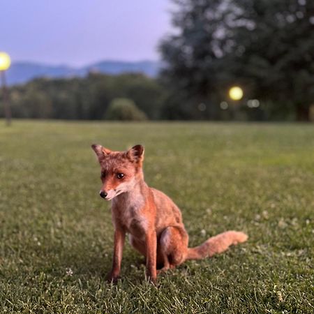 Agriturismo Borgo Imperiale Villa Valmontone Kültér fotó